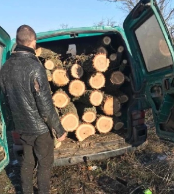 На Миколаївщині чорний лісоруб заплатить 18 тисяч гривень штрафу