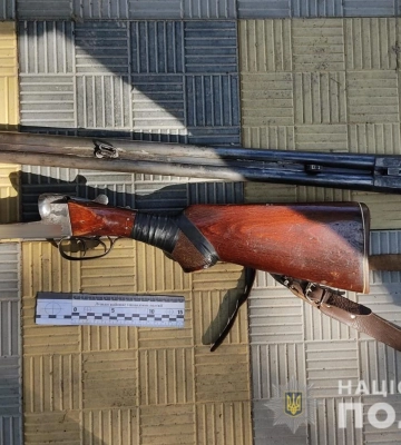 У дачному масиві на Волині чоловік застрелив собаку: його судили за незаконне зберігання рушниці