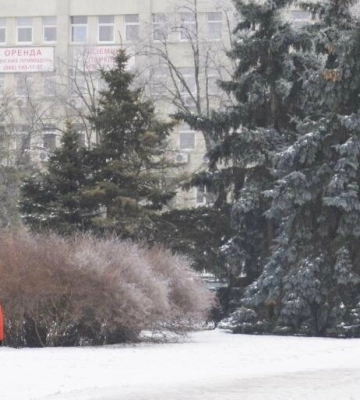 У Полтаві очікується мокрий сніг, який зміниться дощем