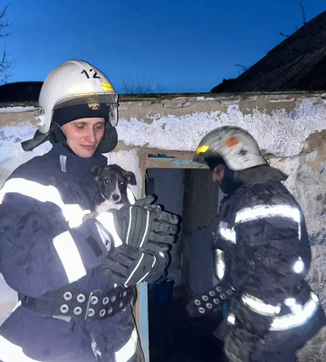 Вогнеборці Миколаївщини ліквідували дві пожежі, на одній з яких врятували песика