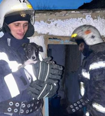 Спасение из огненной ловушки: на Николаевщине из пламени вынесли маленькую собачку