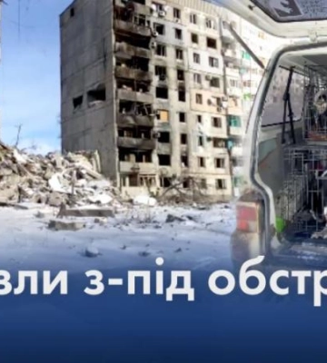 Евакуація чотирилапих: історія лабрадора Грея із пошкодженого Оріхова