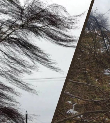 На Франківщині у трьох населених пунктах — аварійні знеструмлення, ще у дев'ятьох — частково