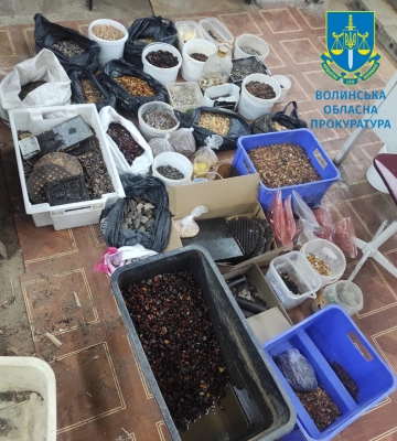 На Волині спіймали &quot;бурштинових магнатів&quot; (ФОТО)