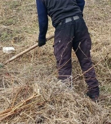 На схилах одеського узбережжя прибирають сухостій