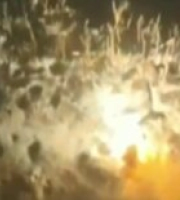 Силы спецопераций уничтожили опорники РФ на Запорожье и дроном установили флаг: видео