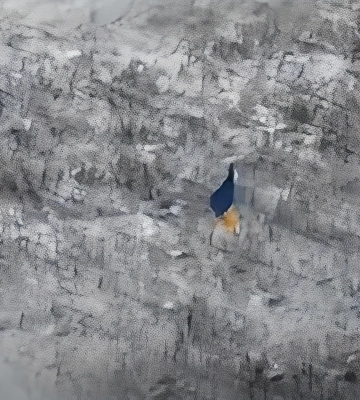 ССО знищили два опорні пункти росіян на запорізькому напрямку: відео