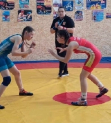 У Дубні відбувся чемпіонат області з вільної боротьби