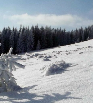 Вночі у Львові очікується відчутний мороз