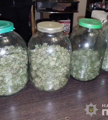 У Запоріжжі поліцейські викрили наркооранжерею та затримали наркоаграрія. ФОТО