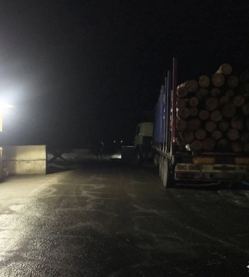 На Поліссі затримали вантажівку з соснами, якою керував пенсіонер з Волині