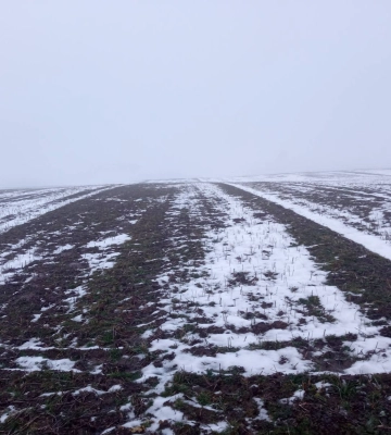Громади на Волині віддають в оренду гектари земель. Де саме і за скільки?