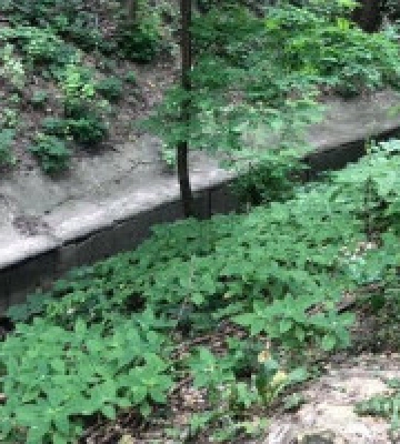У Києві судитимуть одного з керівників столичного КП за збитки при ремонті гідроспоруд