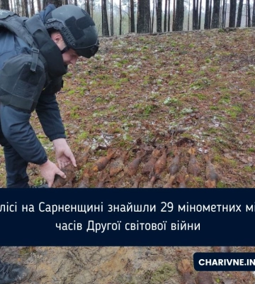 Майже 30 мін знищили на Рівненщині піротехніки