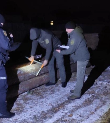 На Рівненщині лісівники виявили нелегальних бурштинокопачів: старателі встигли втекти