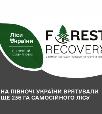 Із початку року на Сумщині врятували понад 118 га самосійного лісу