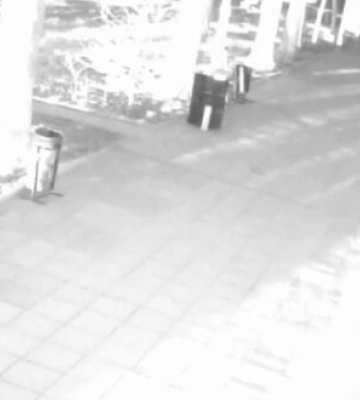 10 бійців під Антонівським мостом. Держприкордонслужба розповіла про унікальну операцію прикордонників на лівому березі Дніпра — відео
