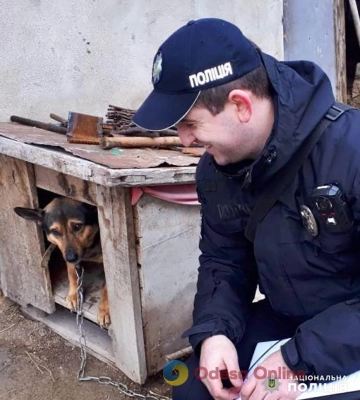В Одеській області знайшли дівчину, яка жорстоко поводилася зі своїм собакою
