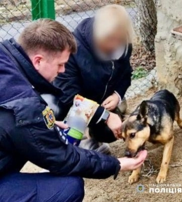 Домашнього пса, над яким знущалася 12-річна дівчина з Одещини, передали до притулку, – ВІДЕО
