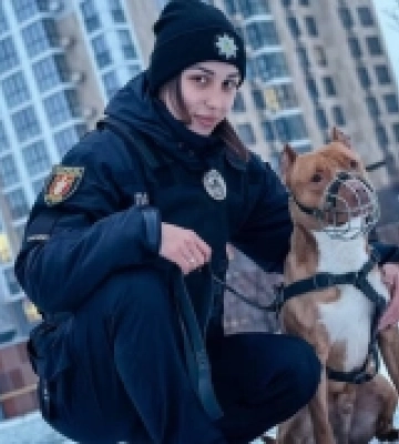 Волинська поліція нагадала правила вигулу песиків