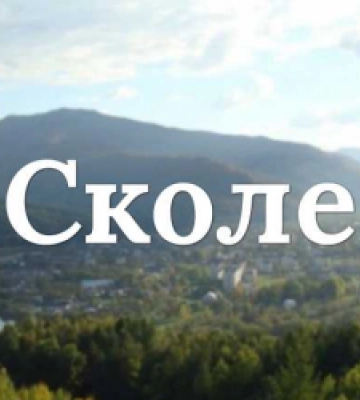 У Сколе продається ветлабораторія площею 368,9 кв.м за 10 тис. грн