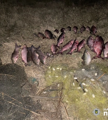 На озері в Одеській області спіймали браконьєра