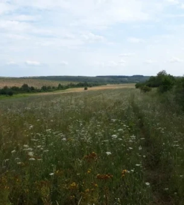 Уперше в історії Закарпаття місцеві жителі відмовляються від земельних ділянок