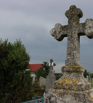 На Волині горів один із найвідоміших в області птахокомплексів
