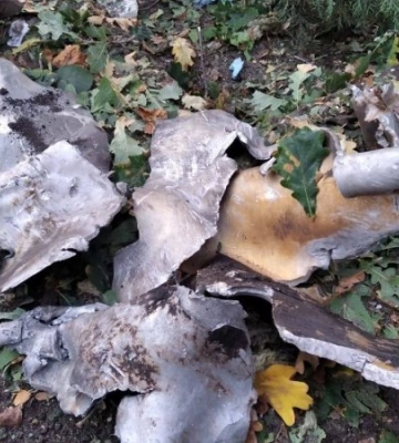Росіяни скинули щонайменше дві авіабомби на Куп&#039;янський район Харківщини