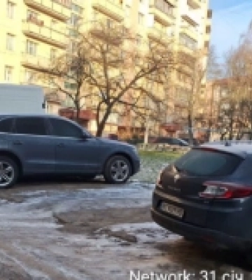 У Луцьку водії автівок знищили зелену зону