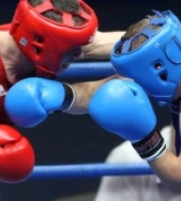 У Гощі пройшов відкритий чемпіонат зі змішаних єдиноборств