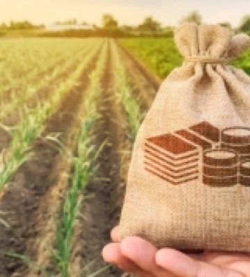 Комунальні земельні ділянки у Луцькій громаді продадуть на аукціоні