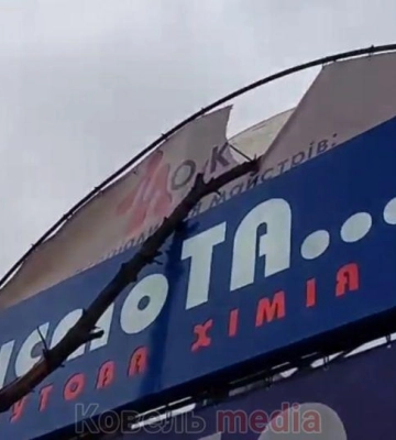 У місті на Волині гілка з дерева впала на припарковане авто