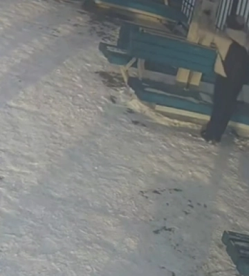 У Луцьку оштрафували жінку, яка пропонувала роботу на зупинці (відео)