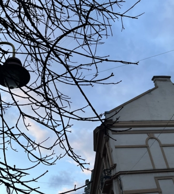 Якою буде погода в Івано-Франківську та області 7 лютого
