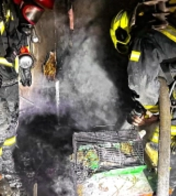 Майже 60 рятувальників гасили пожежу у гуртожитку в Одесі