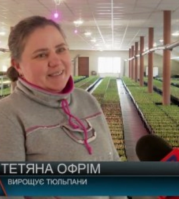 Хобі стало справою життя: Історія закарпатської родини (відео)