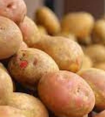 В Україні стрімко дорожчає картопля: скільки коштує кілограм у Дніпрі