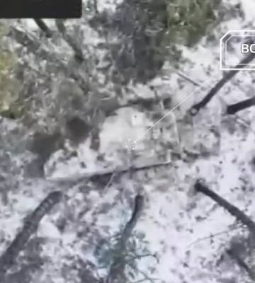 FPV-дроны ударили по технике и позициях оккупантов на Харьковщине (видео)