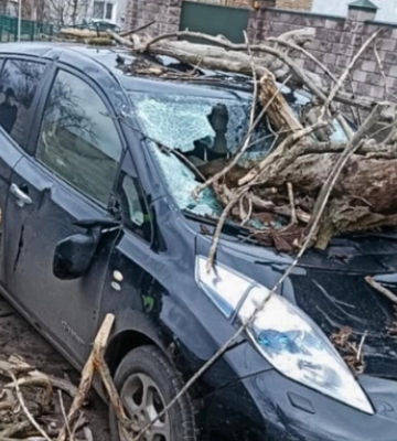 Повалені дерева й розчавлені автівки: у Луцьку негода накоїла лиха 