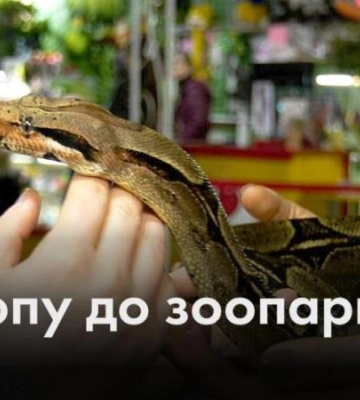 З окопу до зоопарку: у Дніпрі рятують удава з передової