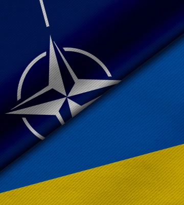 Посол Британии в НАТО призвал Украину не ждать большого прогресса в вопросе членства на летнем саммите
