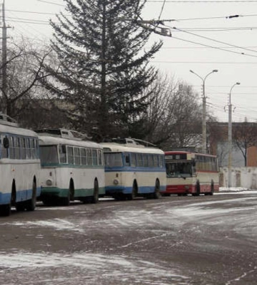 Частину дерев зріжуть: у Рівному вирішили, як розширити територію для стоянки комунальних автобусів (ВІДЕО)