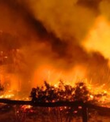 Чоловік загинув, жінка з опіками в лікарні – пожежа на Харківщині