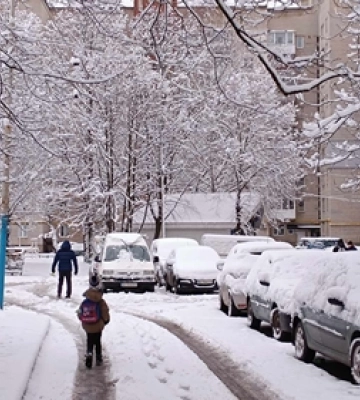 Луцьк знову засипало снігом 