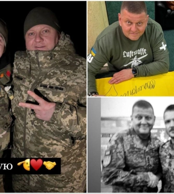 &quot;Повага та вдячність&quot;: українські зірки відреагували на відставку Валерія Залужного
