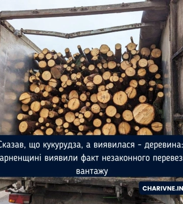 Сказав, що кукурудза, а виявилася - деревина: на Сарненщині виявили факт незаконного перевезення вантажу