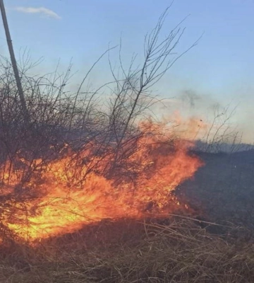 14 пожеж сухої трави від початку року трапилось на Коломийщині