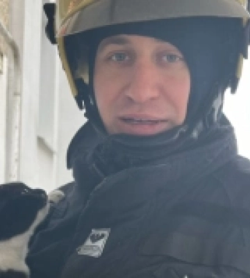 У Рівному врятували кота з перекриття