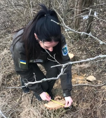 За два зрубаних дерева мешканець Миколаївщини заплатить штраф